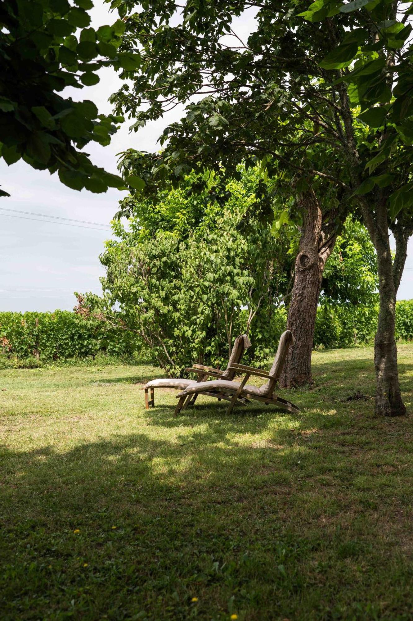 Clos De La Barbanne Montagne  Εξωτερικό φωτογραφία